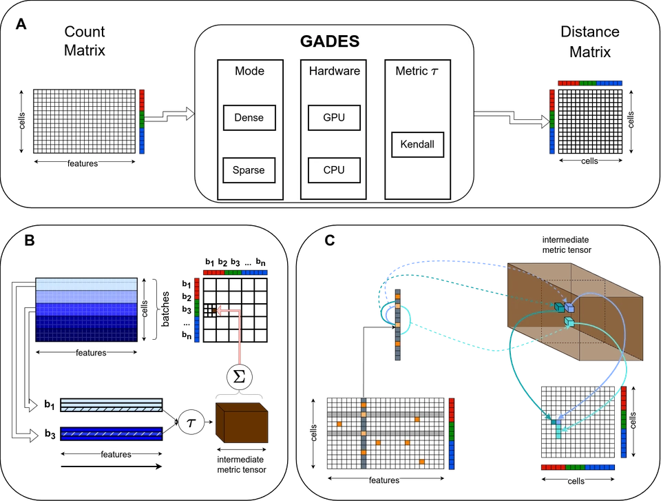 Схема GADES: плотный и разреженный режимы, GPU и CPU, пакетная обработка матрицы для расстояний Кендалла
