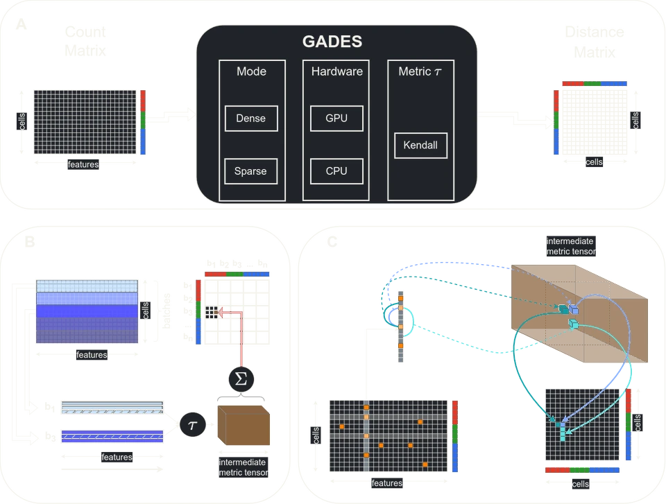 Схема GADES: плотный и разреженный режимы, GPU и CPU, пакетная обработка матрицы для расстояний Кендалла